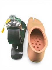 Ossur Pro-flex Proflex Xc Prosthetic Foot, right, Size 26, Category 6, new