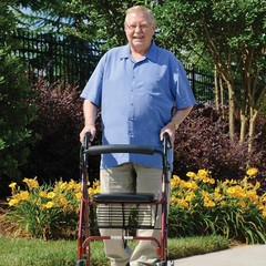 Lumex Walkabout Lite Rollator