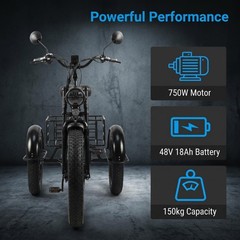 Daibot 24Inch 750W 48V Fat Tire E Trike Adult 7Speed 65km Removable Battery