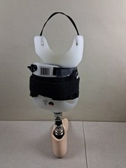 Transtibial Prosthetic Leg Assembly Left Flo Tech O & P APC Coupling Sz 10 Foot