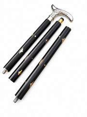 Art Nouveau Walking Cane Silver Lady Handle Black Shaft Vintage Style Gentleman