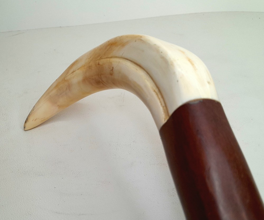 Vintage Boar Tusk Cane / Walking Stick