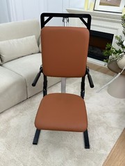 Electric Lift Chair for Elderly 440 LBS Safe Recovery at Home/Care Center
