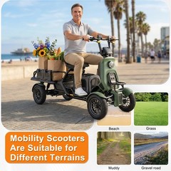 4-Wheel Electric Mobility Scooter for Adults Cargo Platform 500/1000W 15.5 MPH