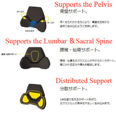 [Kaji EXGEL] Hug Drive Back Cushion HUD01-BK Pelvic Support While Driving Japan