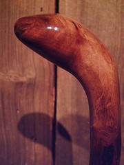 walking stick natural grown ROOT KNOB HANDLE for AVERAGE sized hands MADE IN USA