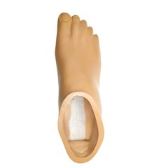 US Stock Prosthetic Foot Shell Universal Fit 24-29cm Fits Most Brands