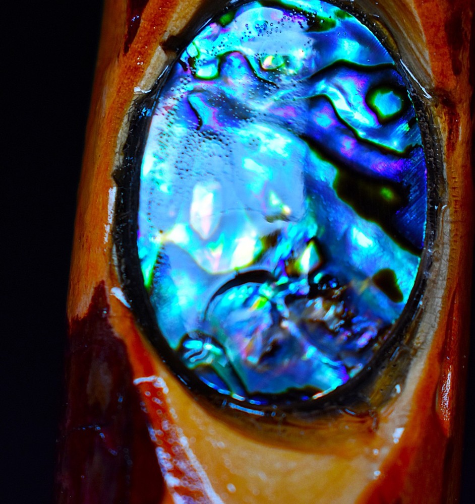 Abalone and Alligator Juniper