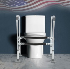 Toilet Frame Grab Bars Safety Rail Seat Handicap Assist For Senior Arm rest NEW