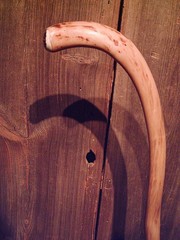 walking stick cane natural grown ROOT HANDLE for average size hands MADE IN USA