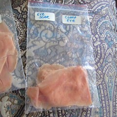 box of prosthetic pieces Halloween stage scars/nose 10 pieces-bumps bruises-