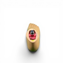 Ottobock Otto bock sach prosthetic foot. Right. Size 24.
