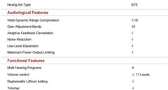 JINGHAO Hearing Aid For Severe Loss Digital 65/132 dB BTE Rechargable Battery US