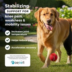 Lightweight Mini Dog Knee Brace for Right Leg – Supports ACL Recovery & Mobility