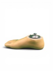 OTTOBOCK Otto Bock 1WR95 Water Prosthetic Foot. Size 25. Right Foot. Excellent