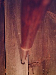 walking stick cane DEER HOOVE & NATURAL GROWN wood shaft custom made in the USA