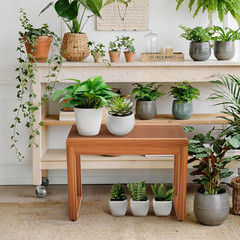 Teak Shower Bench 23.6″ Waterproof Stool, 500 lbs Capacity for Indoor/Outdoor Us