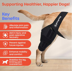 Dog Knee Brace for Torn ACL Pain Relief Support for Front or Hind Leg Large