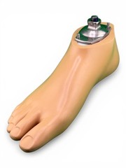 Ottobock Otto bock sach prosthetic foot. Right. Size 24. Excellent condition