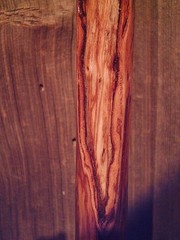walking stick cane ELK antler handle BRASS collar VERY stiff MAPLE wood shaft