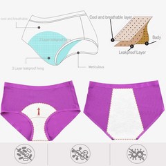 5 Pack High Absorbency Incontinence Underwear for Women Washable Leakproof Panti