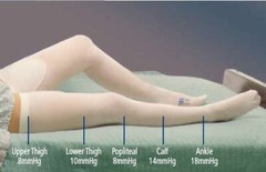 T.E.D. Knee-Length Anti-Embolism Stockings Size 2X-Large Regular EA of 1