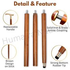 Vintage Brass Walking Stick – Handmade Wooden Cane with Solid Brass Handle – Ant