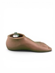 Ohio Willow Wood Sach prosthetic foot w/ titanium pyramid. Left. Size 29