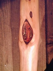 diamond willow walking stick STAG ANTLER handle cane custom made cane in the USA