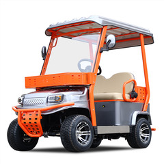 1800W 2-Seater Electric Golf Cart 35 Miles 800lbs Capacity 24mph with Canopy
