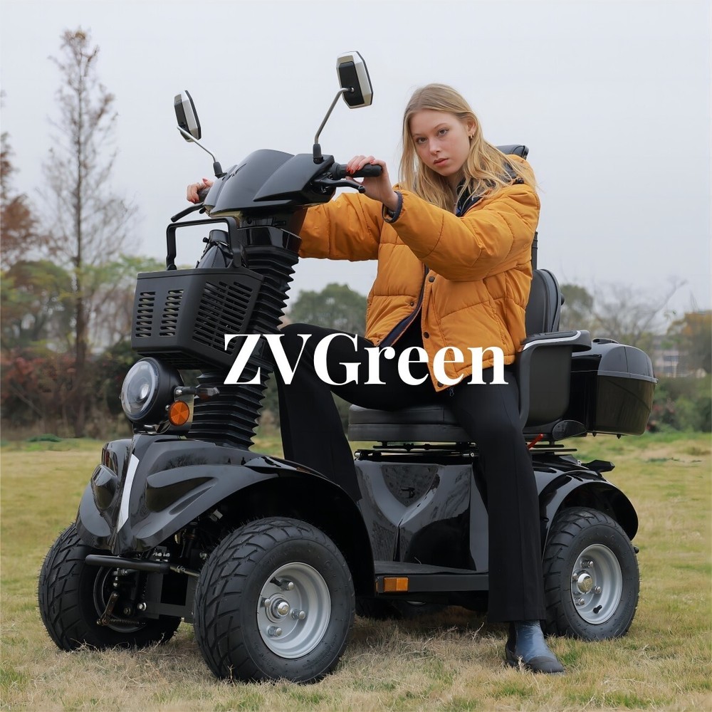 1000W 4-Wheel Mobility Scooter 60V 20AH 15mph 31 Miles for Adult Senior 500LBS