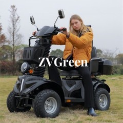 1000W 4-Wheel Mobility Scooter 60V 20AH 15mph 31 Miles for Adult Senior 500LBS