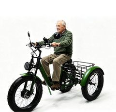 Folding 350W Adult Electric Tricycle, 3 Wheel E-Bike, Removable Battery, Basket