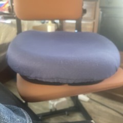 CAREX UpEasySeatAssist 95-220lbs Non-ElectricLiftingCushion Pre Owned TestedOnly