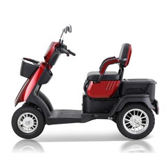 1000W 4-Wheel Heavy Duty Adjustable 2-Seat Electric Power Mobility Scooters