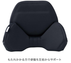 EXGEL Lumbar Support Back Cushion for Driving Car Seat HUD01-BK From Japan New