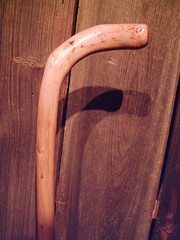 walking stick cane natural grown ROOT HANDLE for average size hands MADE IN USA