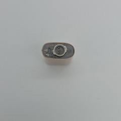 cochlear nucleus 8 rechargeable battery