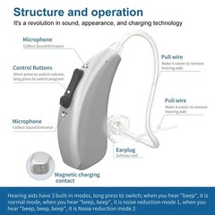 Bluetooth Connectivity, Comes with a Portable Charging Case, Hearing Aids