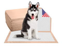 100 30×36 Heavy Absorbency Dog Puppy Training Wee Wee Pee Pads Underpads