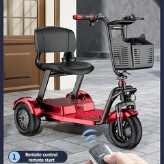 Daibot 3 Wheel Folding E Trike 1000W Electric Scooter Senior Removable Battery