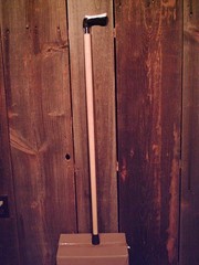 walking cane BUFFALO Horn handle lathe taper figured MAPLE shaft MADE IN THE USA