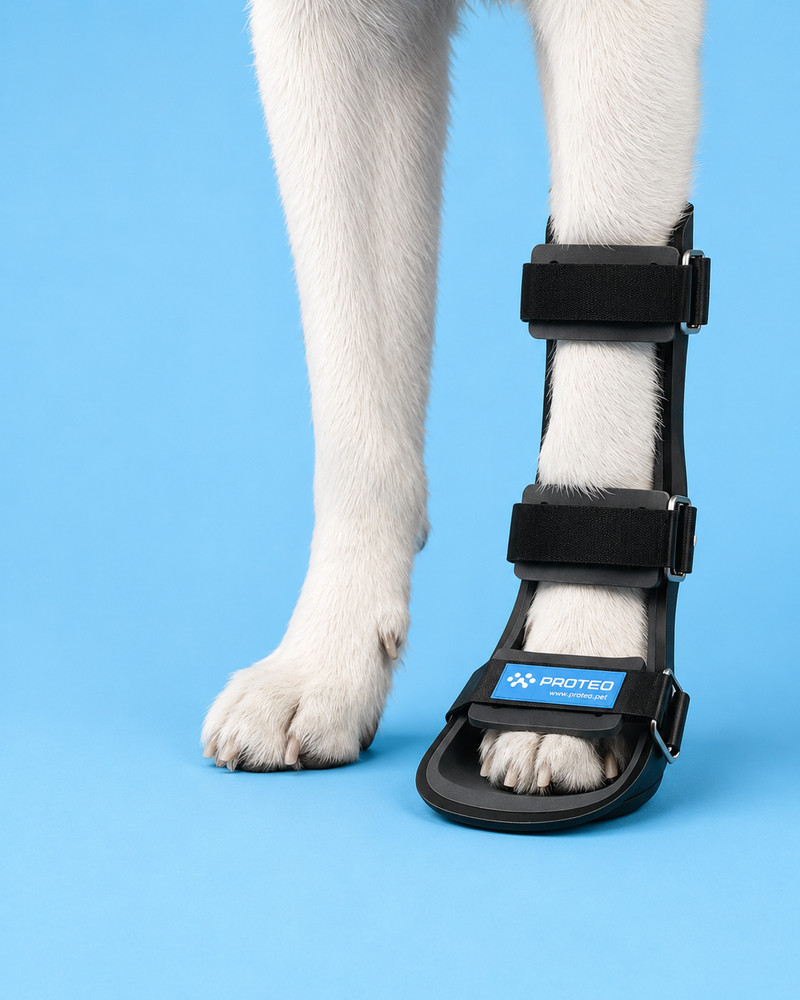 Dog Front Leg Splint, Canine Carpal, Wrist Brace Leg, Support Injury, Protection