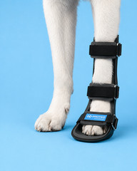 Dog Front Leg Splint, Canine Carpal, Wrist Brace Leg, Support Injury, Protection