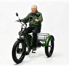 Folding 350W Adult Electric Tricycle, 3 Wheel E-Bike, Removable Battery, Basket
