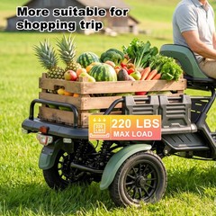 4-Wheel Electric Mobility Scooter for Adults Cargo Platform 500/1000W 15.5 MPH