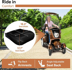 Electric Mobility Scooter for Adults with Canopy and Windshield – 300 Lb Capacit