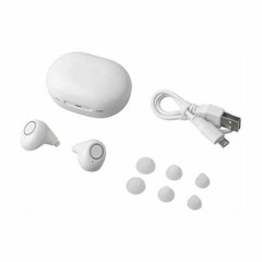 JINGHAO 1 Pair Hearing Aids Hearing Amplifier In Ear Enhancer Voice White US