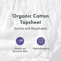 Rael 20 Pack Organic White Women’s Large / Extra Large Disposable Underwear