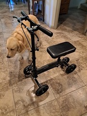 KneeRover Knee Scooter Steerable Adjustable & Collapsible – Matte Black